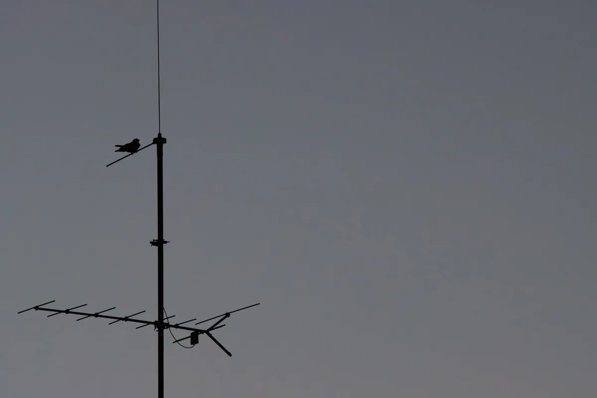 Build a 2-Meter J-Pole Antenna from Copper Pipe: A Weekend Project